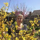 ���� ����, ���������, 82 ���� - ��������� 21 ������� 2018 � ������ ���� ����������