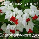 ���� �����, ������ - ��������� 22 ����� 2019 � ������ ������ ��������