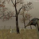 ���� 417 417, ���������, 41 ��� - ��������� 17 ������� 2018 � ������ ������ ��������