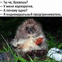 ���� �����, �����������, 44 ���� - ��������� 2 ������ 2018 � ������ ������ ��������