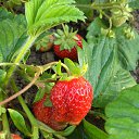 ���� ����, ���������� - ��������� 8 ������ 2019 � ������ ���� ����������