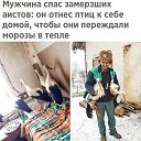 ������ ������ �� ������� �� ����������