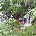 ���� �����, ������� �������� - ��������� 1 ������ 2018 � ������ ���� ����������