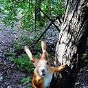 ���� ������, ������������ - ��������� 27 ����� 2019 � ������ ��������