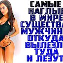  ,  -  28  2019   11
