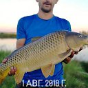 ���� ���������, ���������� - ��������� 11 ������� 2018 � ������ ���� ����������