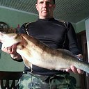 ���� �������, ������ ��������, 49 ��� - ��������� 28 ������� 2018