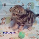 ���� Shkodina, ������ �������� - ��������� 6 ������ 2018 � ������ ���� �����