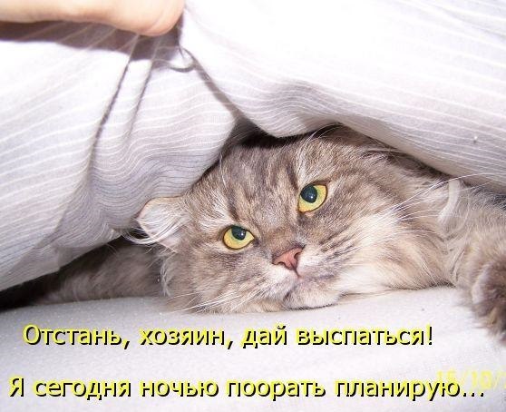 ��� �������� �������� - 5 ������� 2018 � 16:31