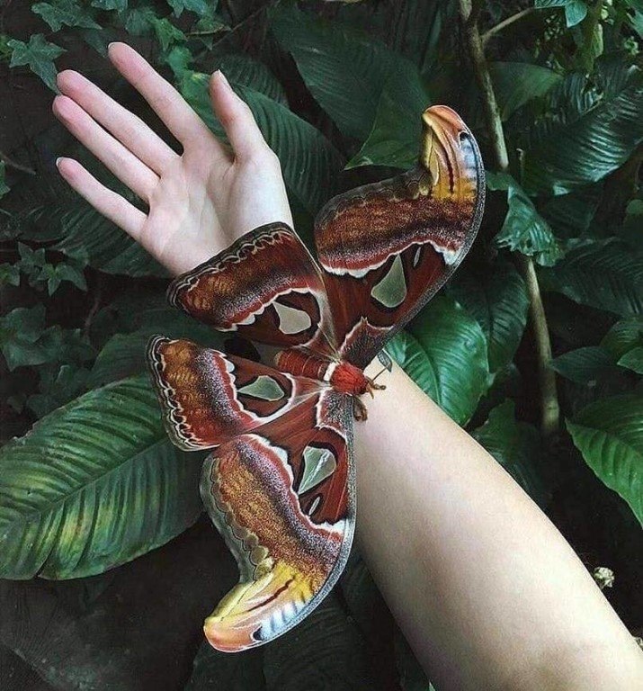 ����� - ���� �� ����� ������� ������� � ����.