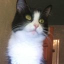  Marina, , 45  -  14  2018