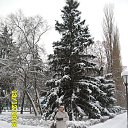  Taten, , 67  -  4  2019    