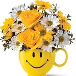 ���������, ������������, 49 ���