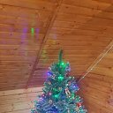 ���� C�����, �����-���������, 51 ��� - ��������� 23 ������� 2018 � ������ ������ ��������