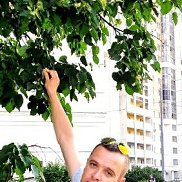 ���������� ��������� �����, 46 ���, ������