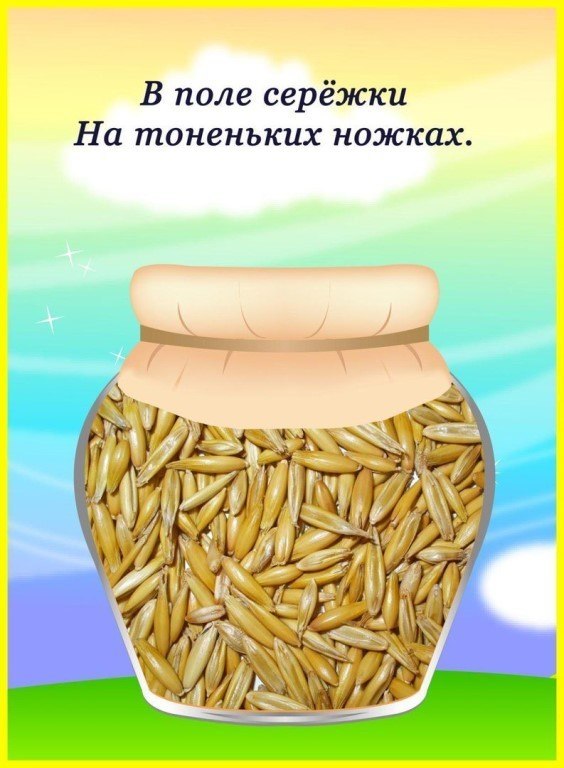  . .         ,    ... - 7