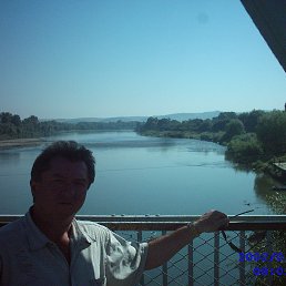 , 64, 