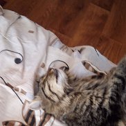 Камилла, 27 лет, Саратов Камилла, 27 лет, Саратов