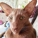 ���� ������, ������, 38 ��� - ��������� 24 ������ 2019