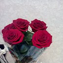 ���� �����, ��������� - ��������� 19 ������� 2018 � ������ ���� ����������