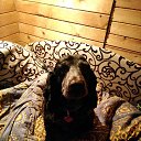 ���� �������, ������, 44 ���� - ��������� 2 ������� 2018