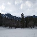 ����-ʸ��, ������� �� ������� ���� ����������