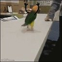 ���� �������, ����������, 50 ��� - ��������� 8 ������� 2018 � ������ ���� ����������