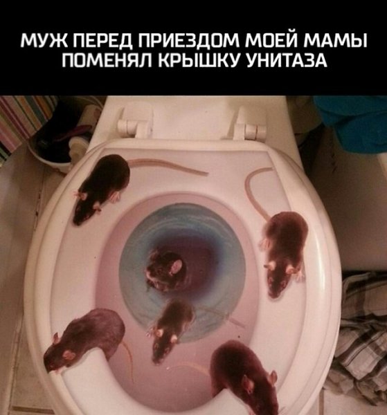�������_�� - 10 ������� 2018 � 16:50