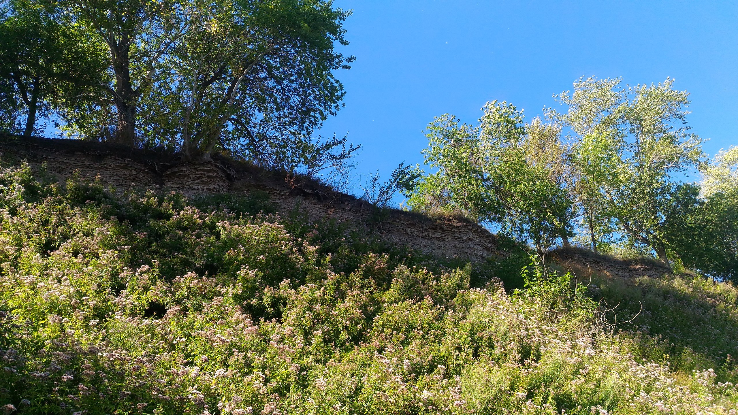  - 23  2018  16:51 - 3