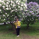 ������������ � ����� �� ������� ���� ����������