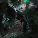 ���� �������, ������, 50 ��� - ��������� 30 ������� 2018 � ������ ������ ��������