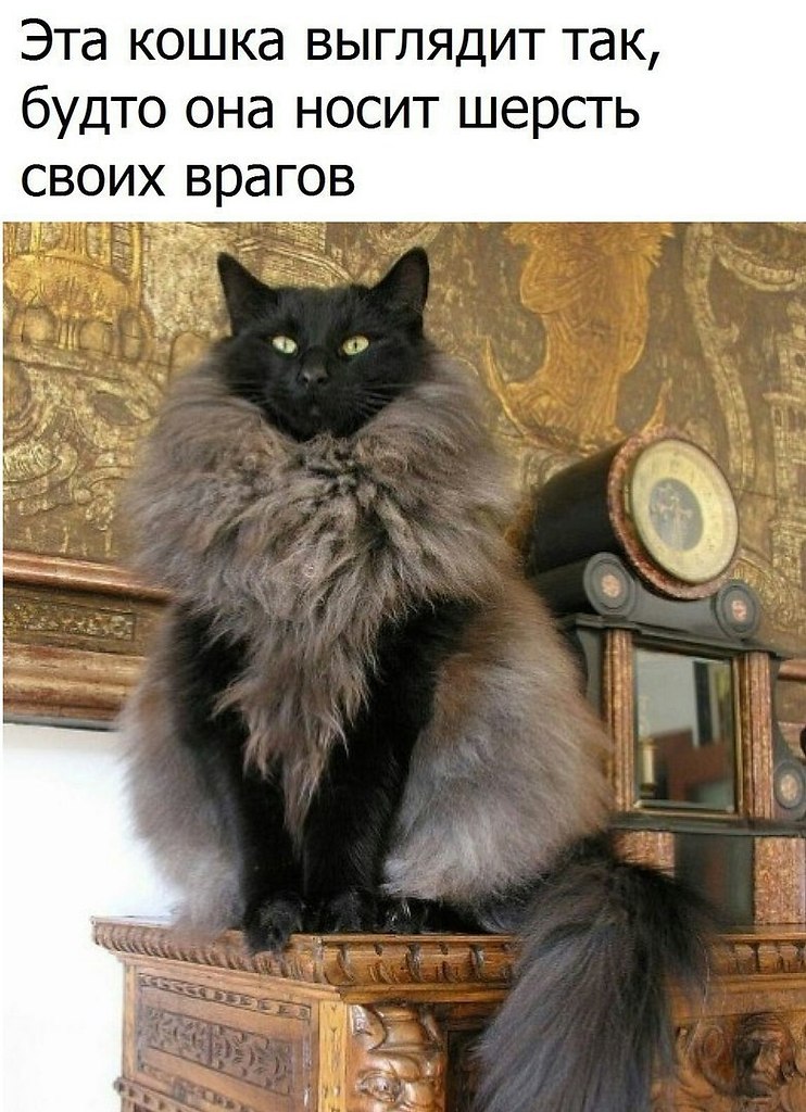  - 10  2019  16:47