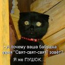 ���� ����, ��������� - ��������� 1 ������� 2018 � ������ ��������)�