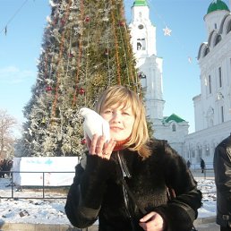 �����, ���������, 48 ���