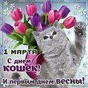 ���� Elizabeth, ������, 58 ��� - ��������� 2 ����� 2019 � ������ ������ ��������