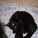 ���� �������, ������, 36 ��� - ��������� 14 ������� 2019