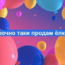 ���� �������, ��������� - ��������� 6 ������ 2019 � ������ ������ ��������