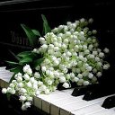 ���� �����, ���������� - ��������� 20 ����� 2019 � ������ ������ ��������