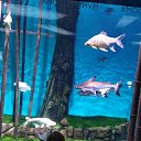 ���� ������, �������������, 37 ��� - ��������� 22 ������� 2018 � ������ ������ ��������