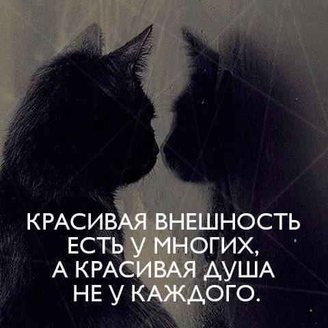 ���� �������� - 14 ������� 2018 � 03:43 - 2