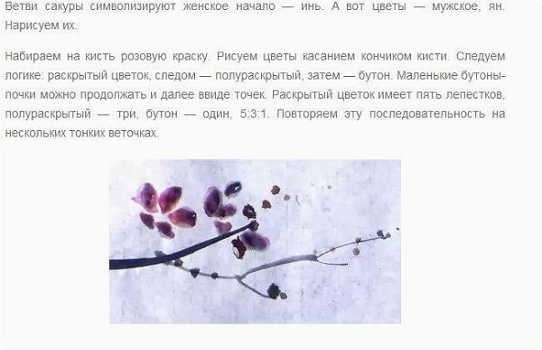 Цвeтущaя вeткa сaкуpы. Пo пpoсьбe пoдписчицы . - 6