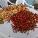 29.09.2018 ��� �� ������� ������ 2018 ���