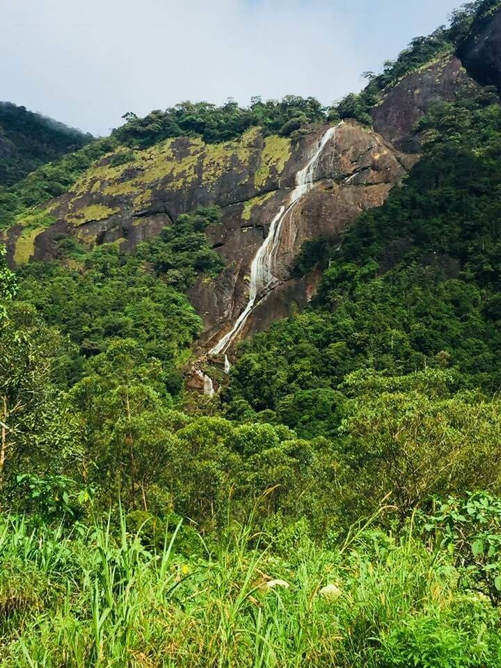  .: Arumahandi Tharindu-Karunadasa