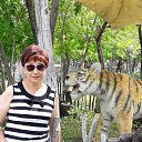 ���� �����, ������������ - ��������� 7 ������� 2018 � ������ ���� ����������