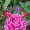 ���� Mary@sha, ���������, 45 ��� - ��������� 3 ������� 2018