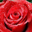 ���� ������, ������� - ��������� 7 ������ 2018 � ������ ���� ����������