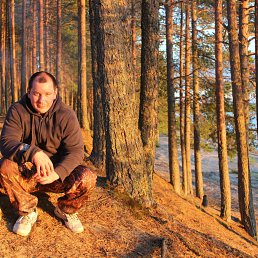 �������, �����-���������, 40 ���