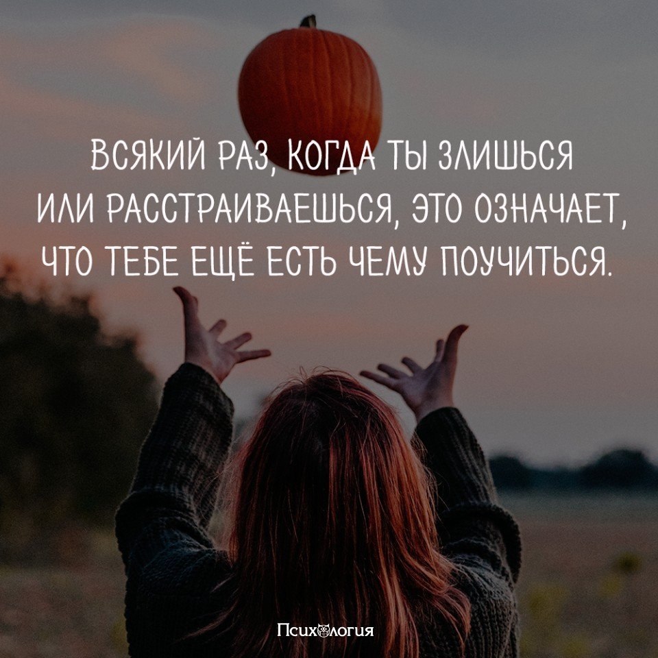 Папа где наши алименты мем. В мире грустит один котик. Когда люди на тебя злятся афоризмы. Дневник пессимиста 7. Униполярное расстройство.