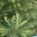 ���� =�����=, ���������, 65 ��� - ��������� 27 ���� 2018 � ������ ���� ������
