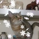 ���� ������, ����������� - ��������� 15 ���� 2018 � ������ ���� ����������